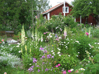 Hus med trädgård
