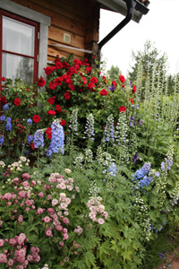 Timrat hus