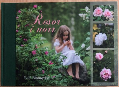 Rosor i norr